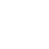 Wheelchair Accessible Taxis